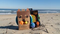 Cavalier Surf Shop photo