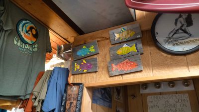 Cavalier Surf Shop photo